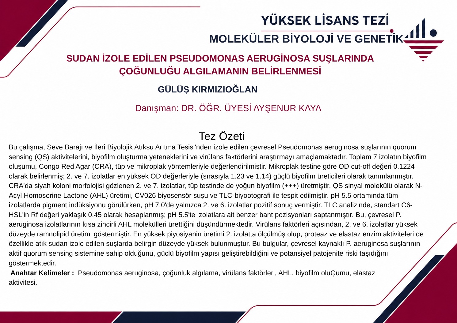 E-Tez Bülteni - 18