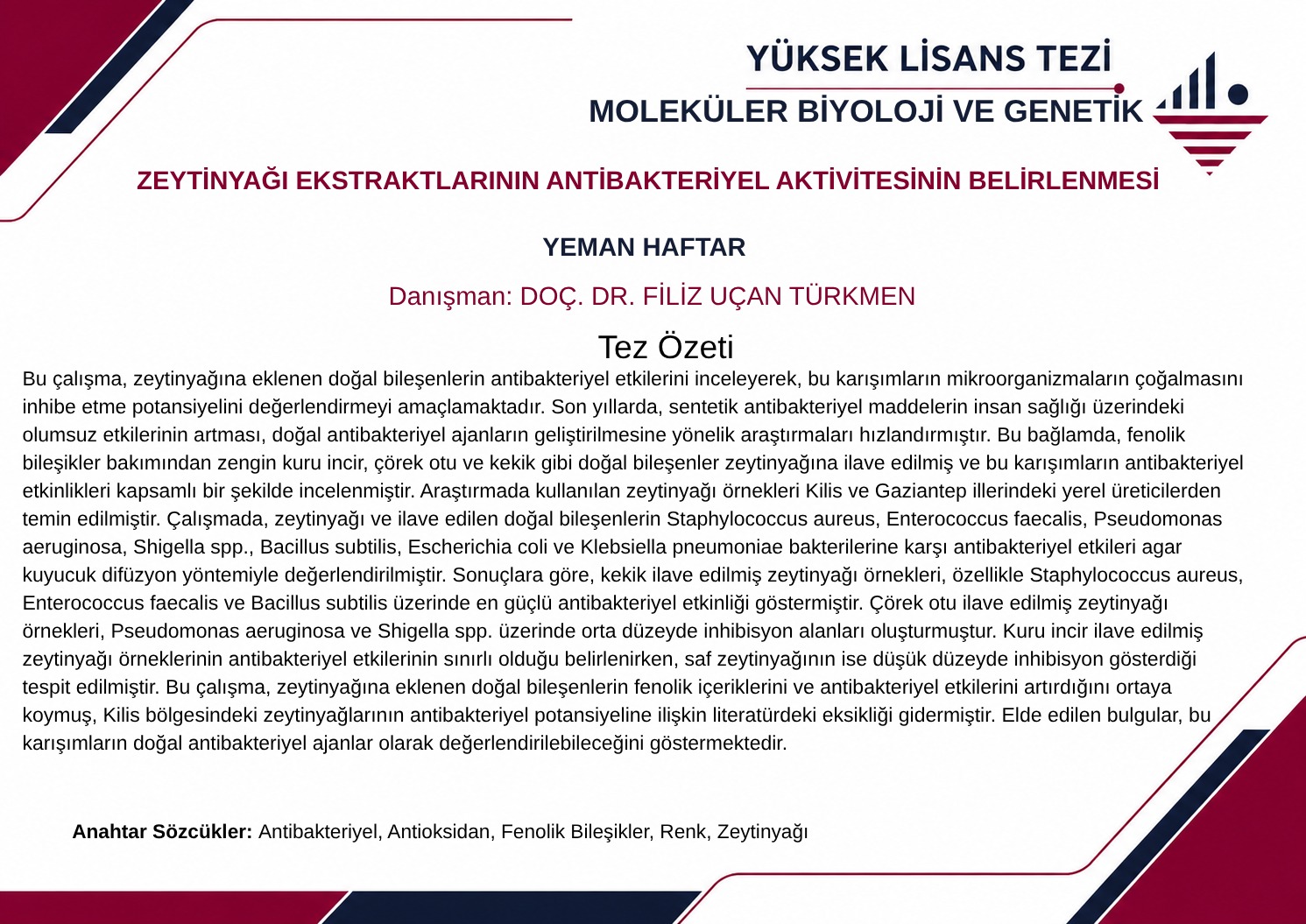 E-Tez Bülteni - 31