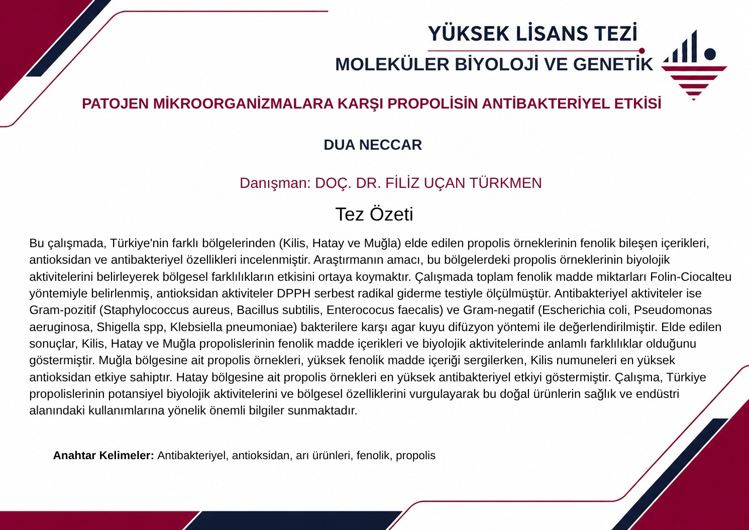 E-Tez Bülteni - 9
