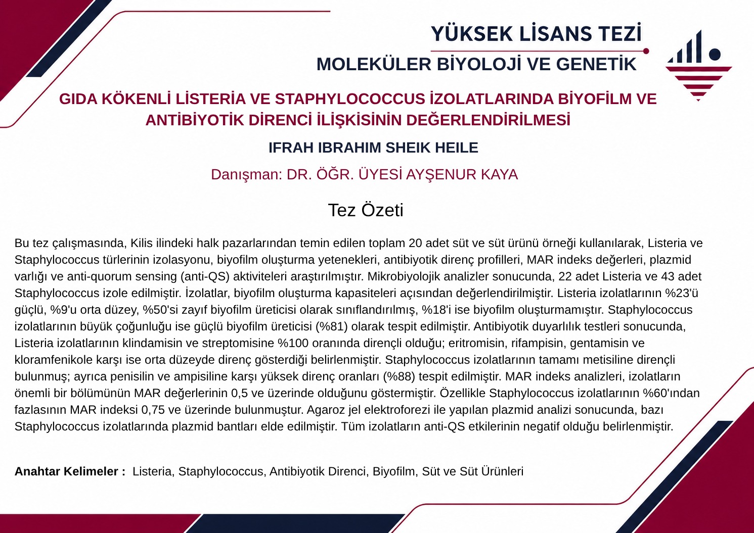 E-Tez Bülteni Sayı 2 - 6